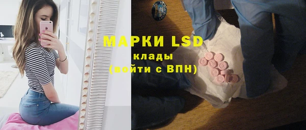 дмт Аркадак
