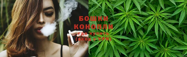 бошки Алзамай