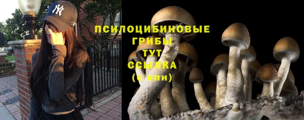 бошки Алзамай