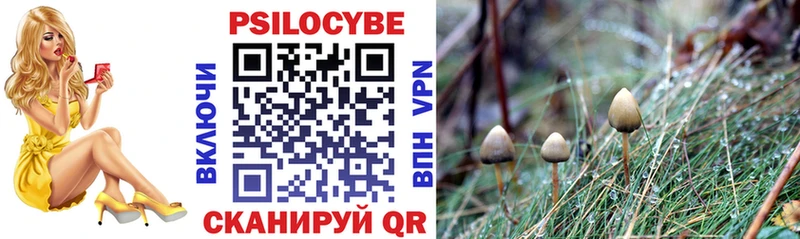 Галлюциногенные грибы Psilocybine cubensis  Купить  Байкальск 