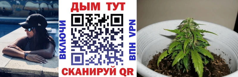 Конопля ГИДРОПОН  Купить где  Байкальск 